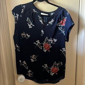 Fun 2 Fun Blue and Red Cap Sleeve Relaxed Blouse